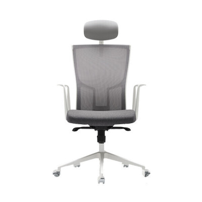 GHẾ CÔNG THÁI HỌC FURSYS  SDT2 T20 - KHUNG TRẮNG