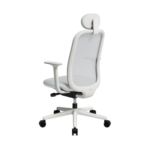 GHẾ CÔNG THÁI HỌC FURSYS SDT21 (T21) - KHUNG TRẮNG