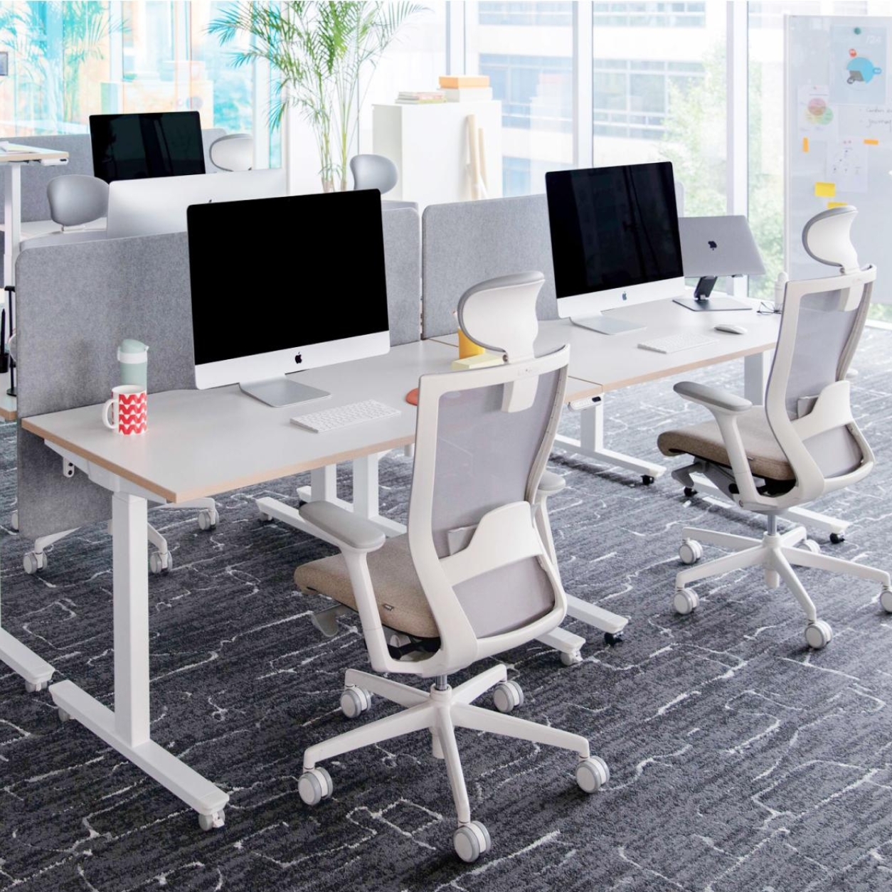 GHẾ CÔNG THÁI HỌC FURSYS T50 – KHUNG TRẮNG