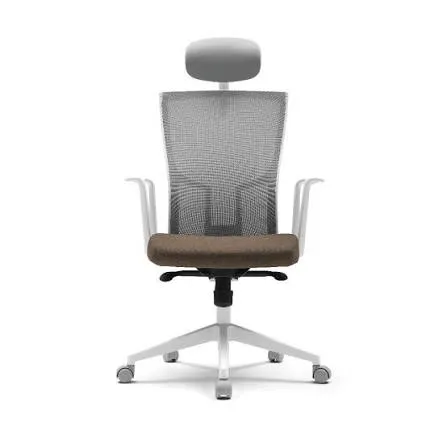 GHẾ CÔNG THÁI HỌC FURSYS  SDT2 T20 - KHUNG TRẮNG