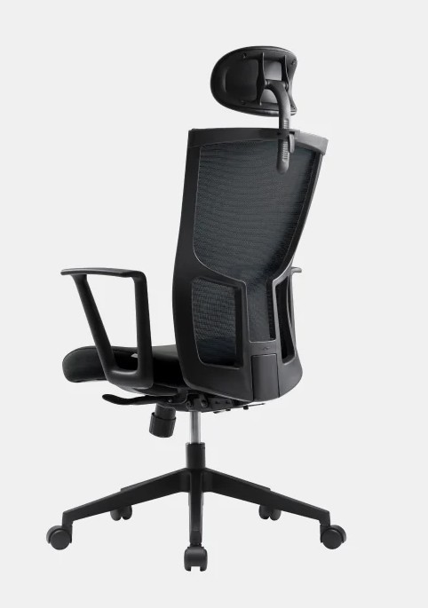 GHẾ CÔNG THÁI HỌC FURSYS SDT2 T20 - KHUNG ĐEN