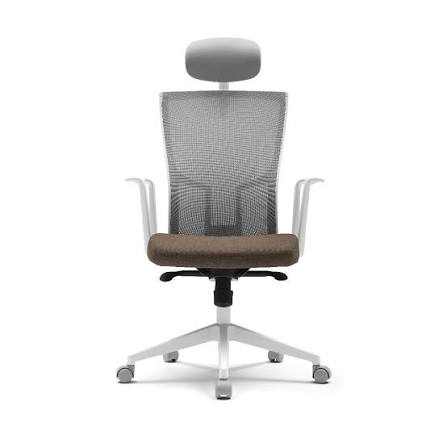 GHẾ CÔNG THÁI HỌC FURSYS  SDT2 T20 - KHUNG TRẮNG